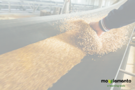 3. GMP's: Good Manufacturing Practices