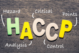 HACCP basis
